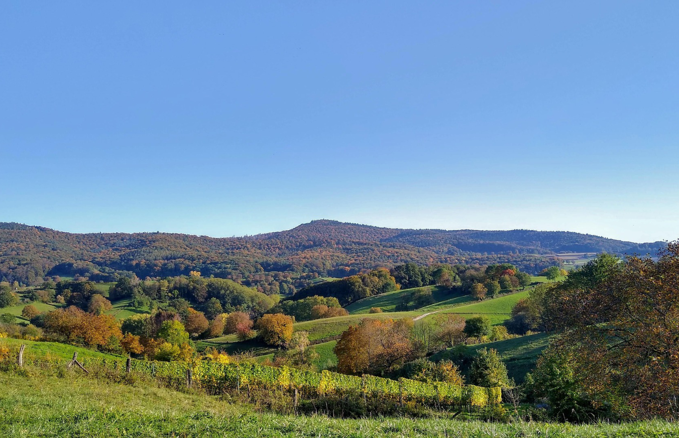 Wissenschaftstag – Energie für die Zukunft: Klimaanpassung in der Modauregion